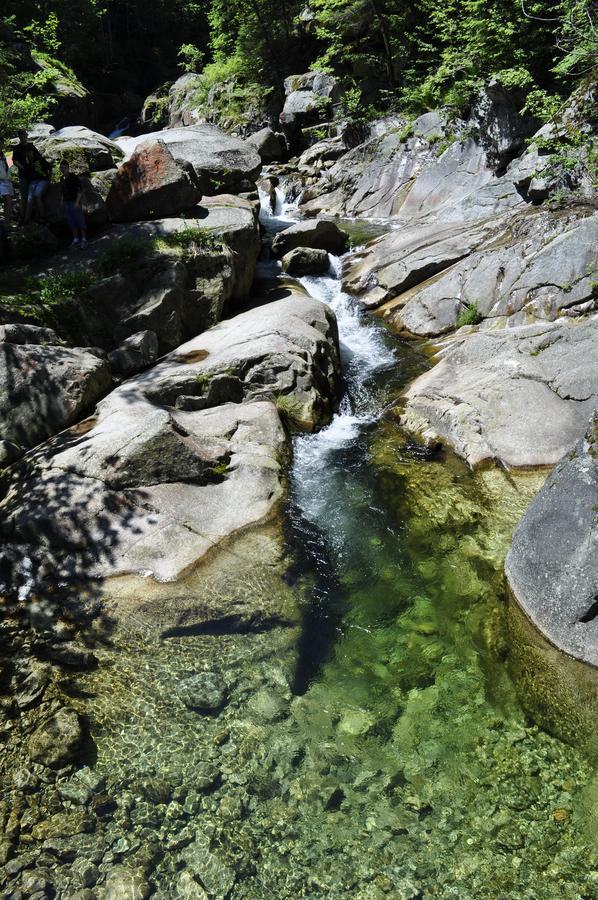 Cabana Cascada Cârnic Nucsoara  Exterior foto